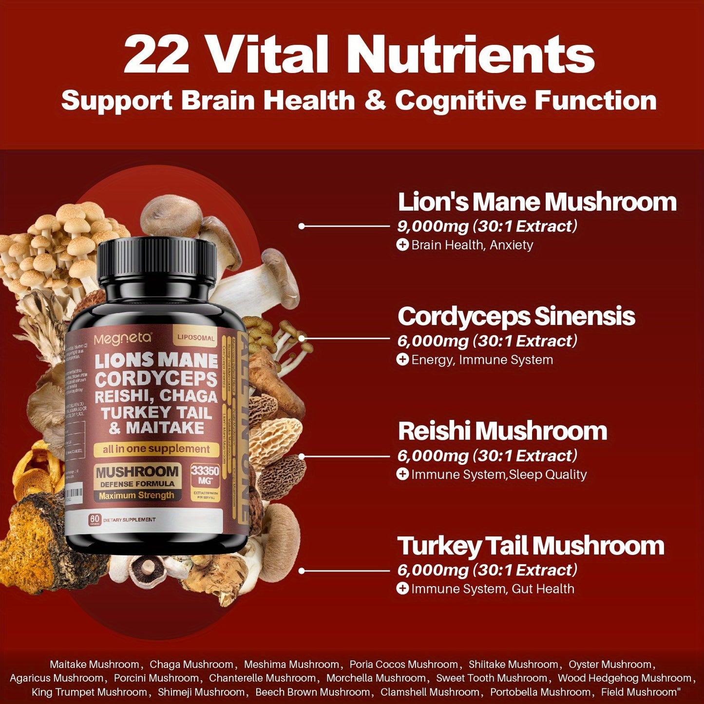 Nootropic Brain | Lion's Mane Mushroom Complex 60 capsules