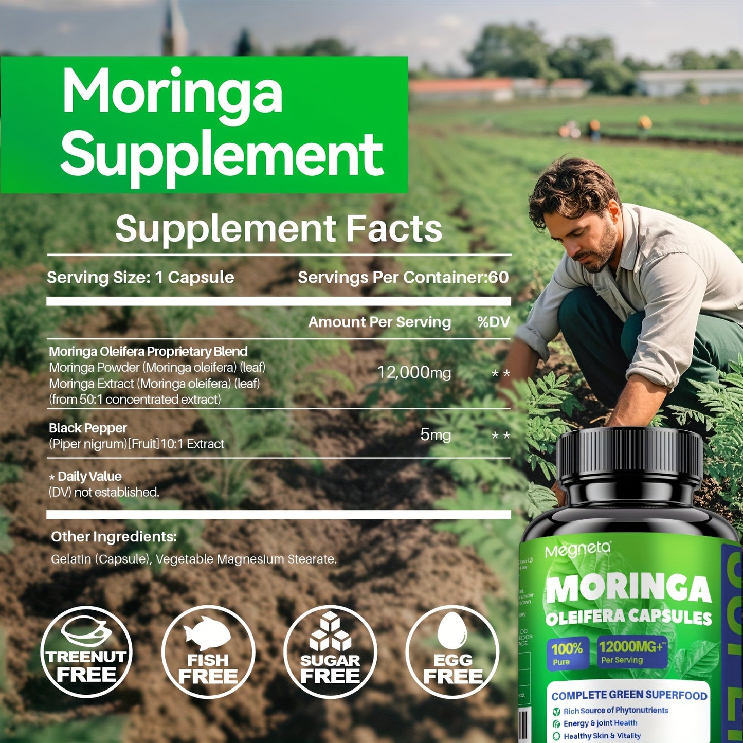 Moringa Capsules - Rich in Antioxidants 60 Capsules