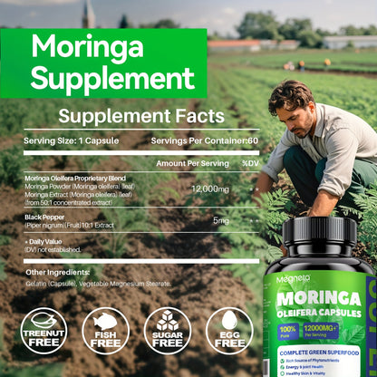 Moringa Capsules - Rich in Antioxidants 60 Capsules