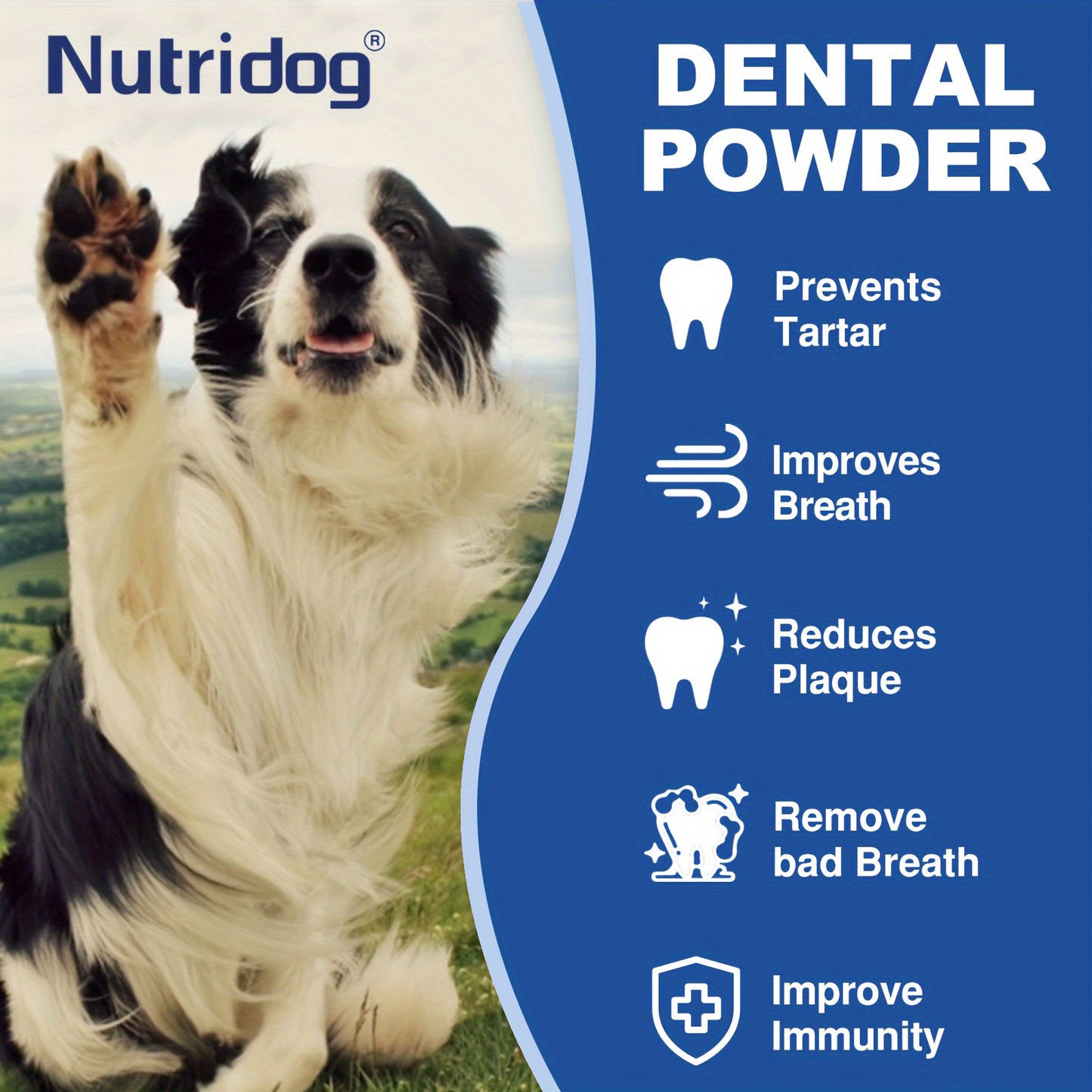 Tooth powder, breath freshener for dogs, fights tartar and bad breath