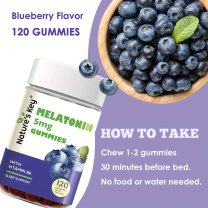 Melatonin Gummies 120 Count Vitamin B6, gluten-free Natural Blueberry  Pack of 2