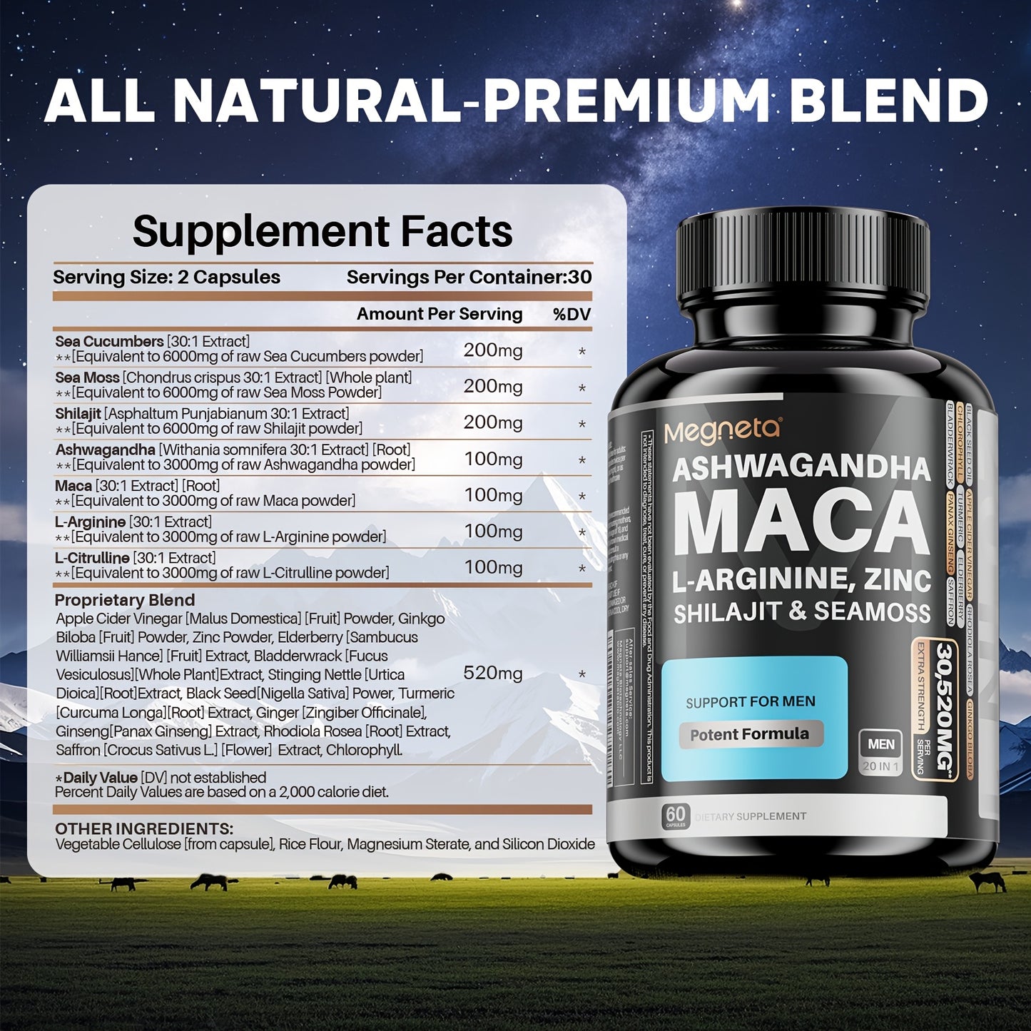 Ultimate Men's Energy Boost: 20-in-1 Herbal Blend with Maca, L-Arginine, Ashwagandha & Shilajit