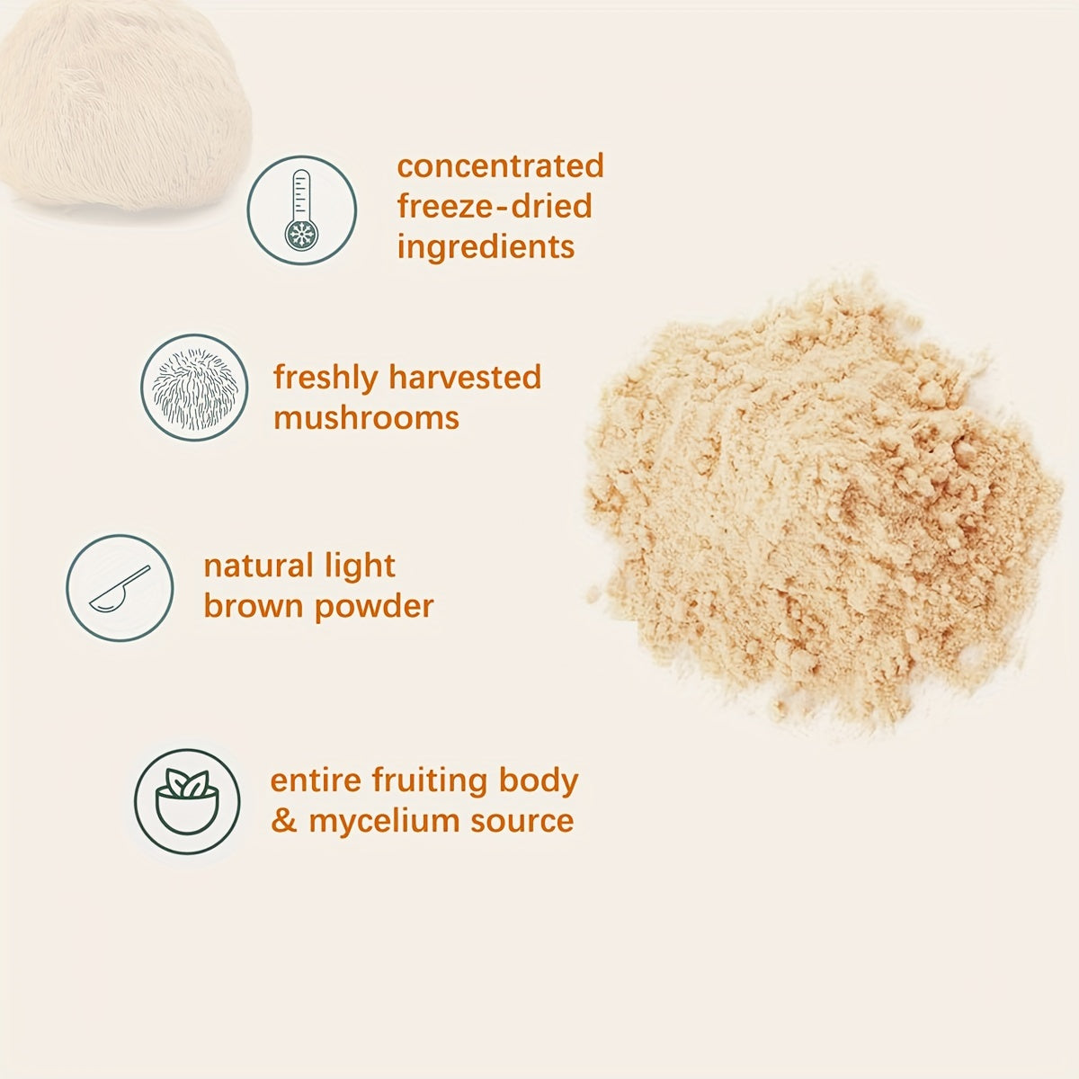 Lions Mane Mushroom Powder - Rich in Antioxidants