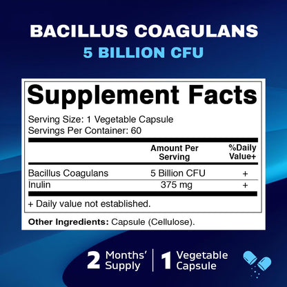 Bacillus Coagulans probiotic supplement - Promotes GI digestive health - 60 vegetarian capsules