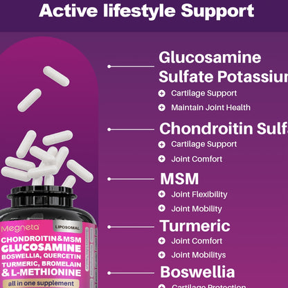 Premium Chondroitin and MSM with Vitamin D3 - Improves Flexibility and Mobility