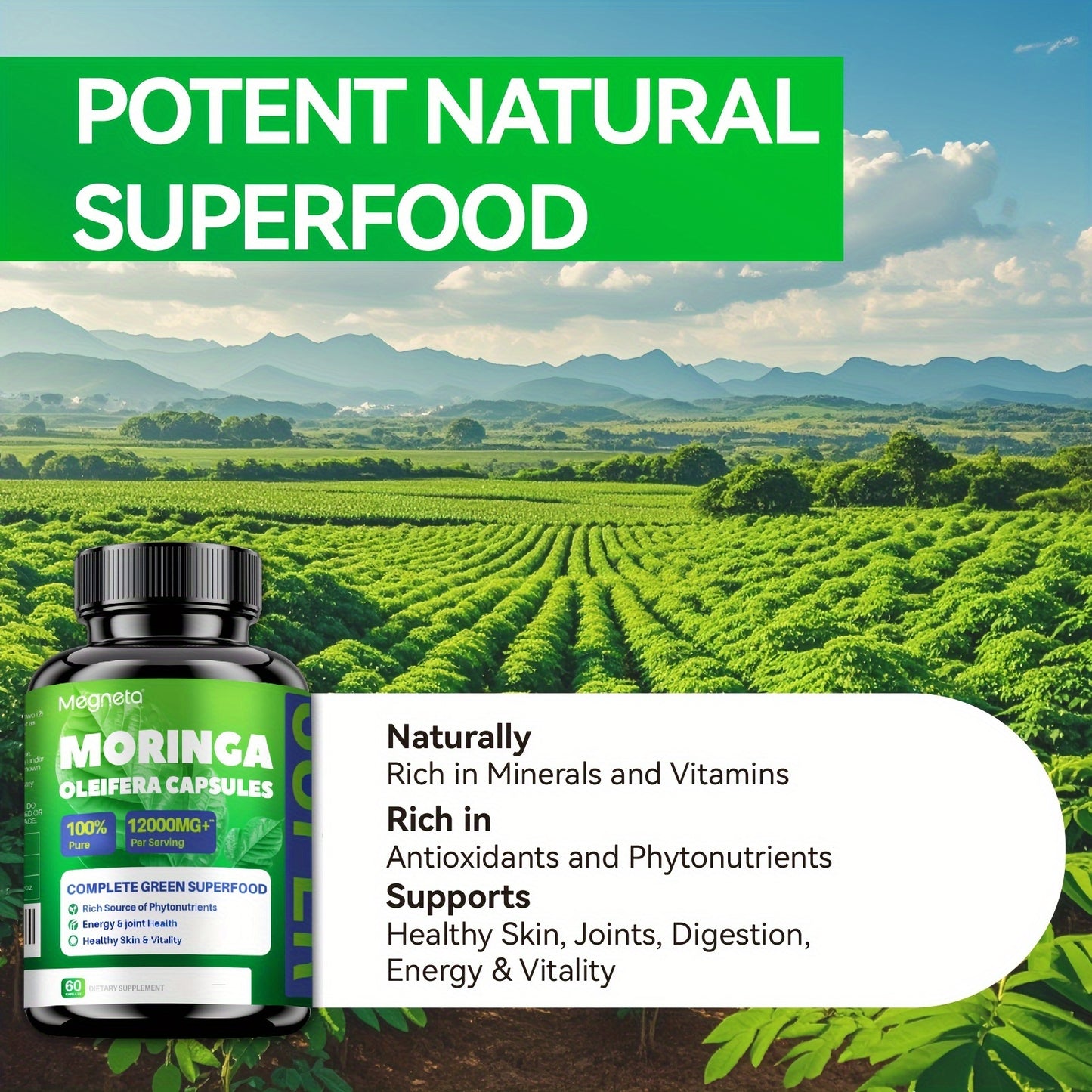 Moringa Capsules - Rich in Antioxidants 60 Capsules